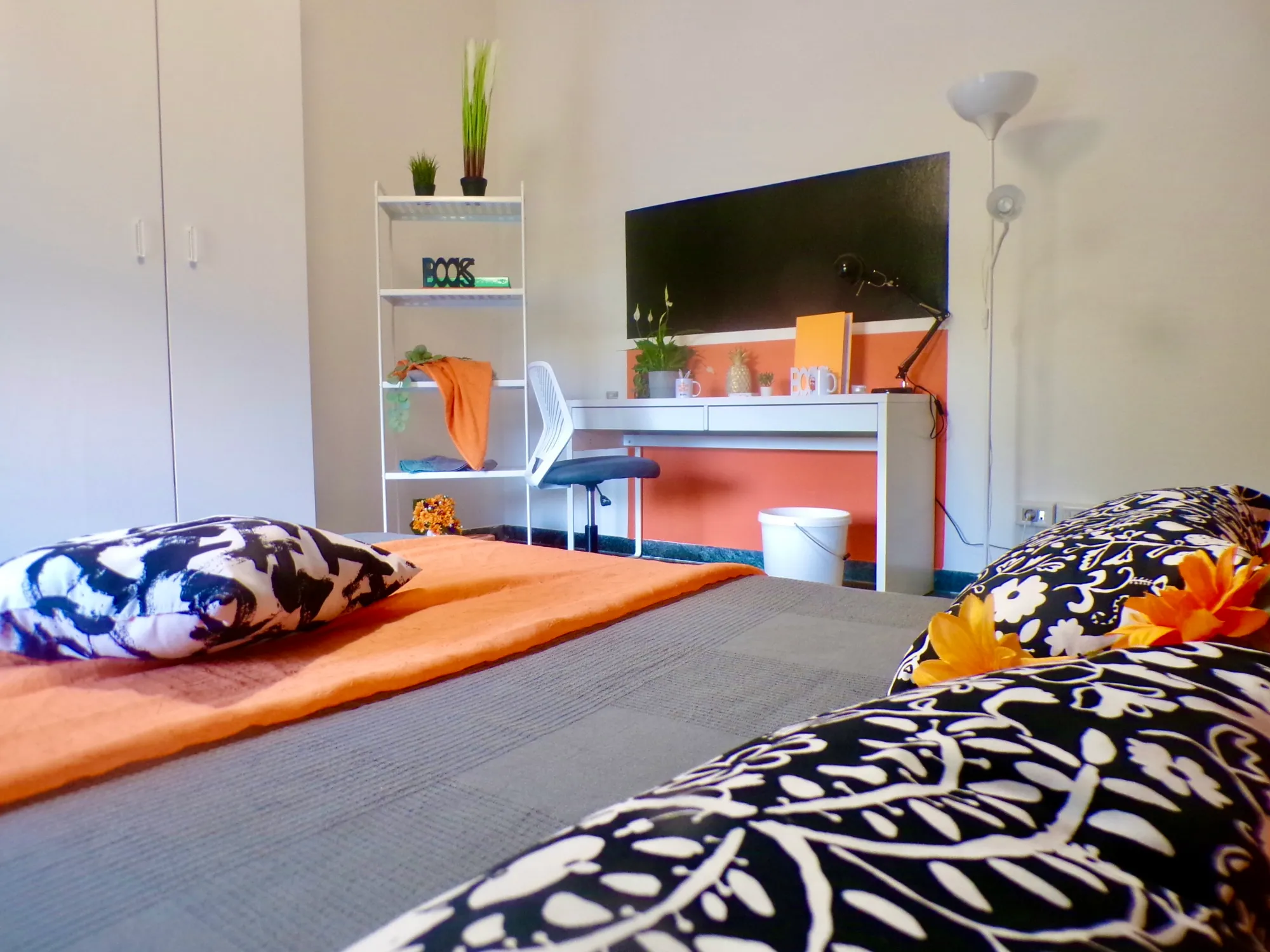 Private room in Bologna photo 5
