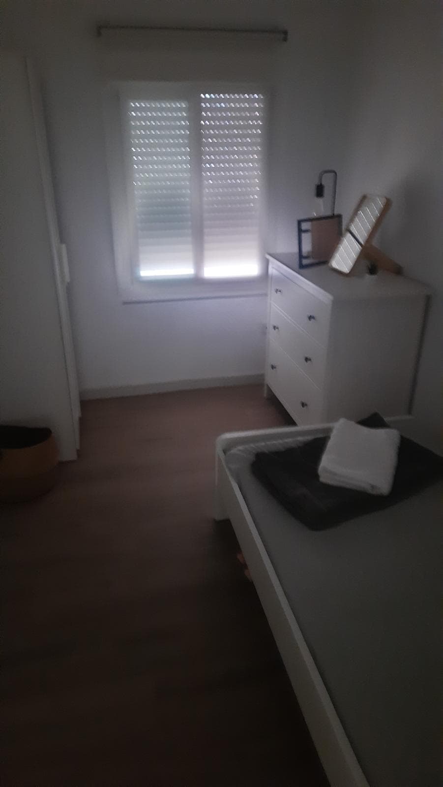 Shared Room in Pisa photo 2