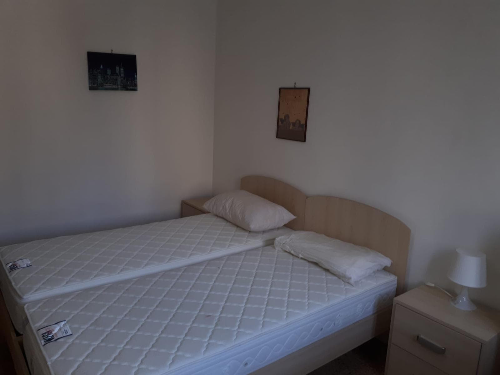 Shared Room in Pisa photo 3