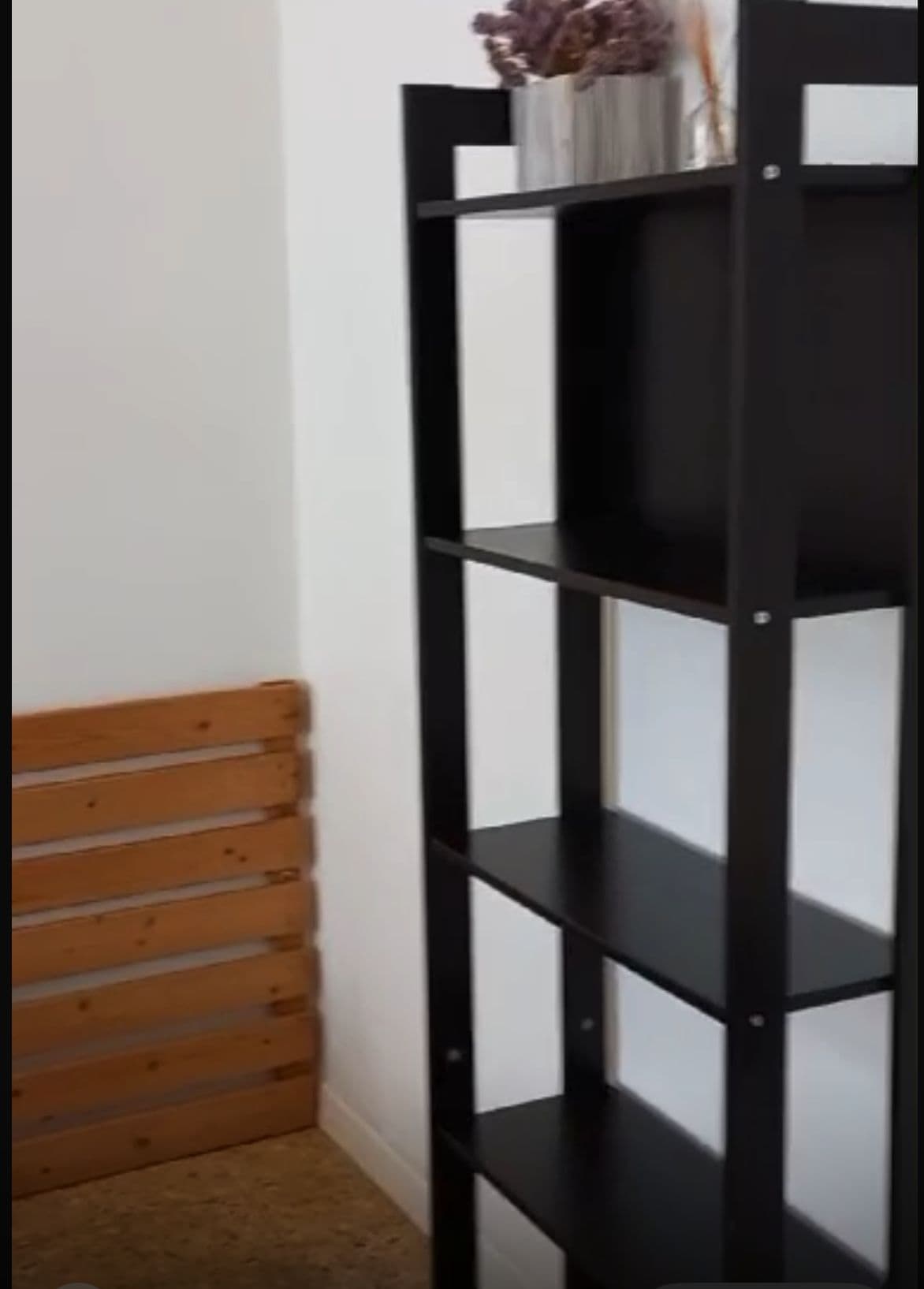 Shared Room in Pisa photo 4